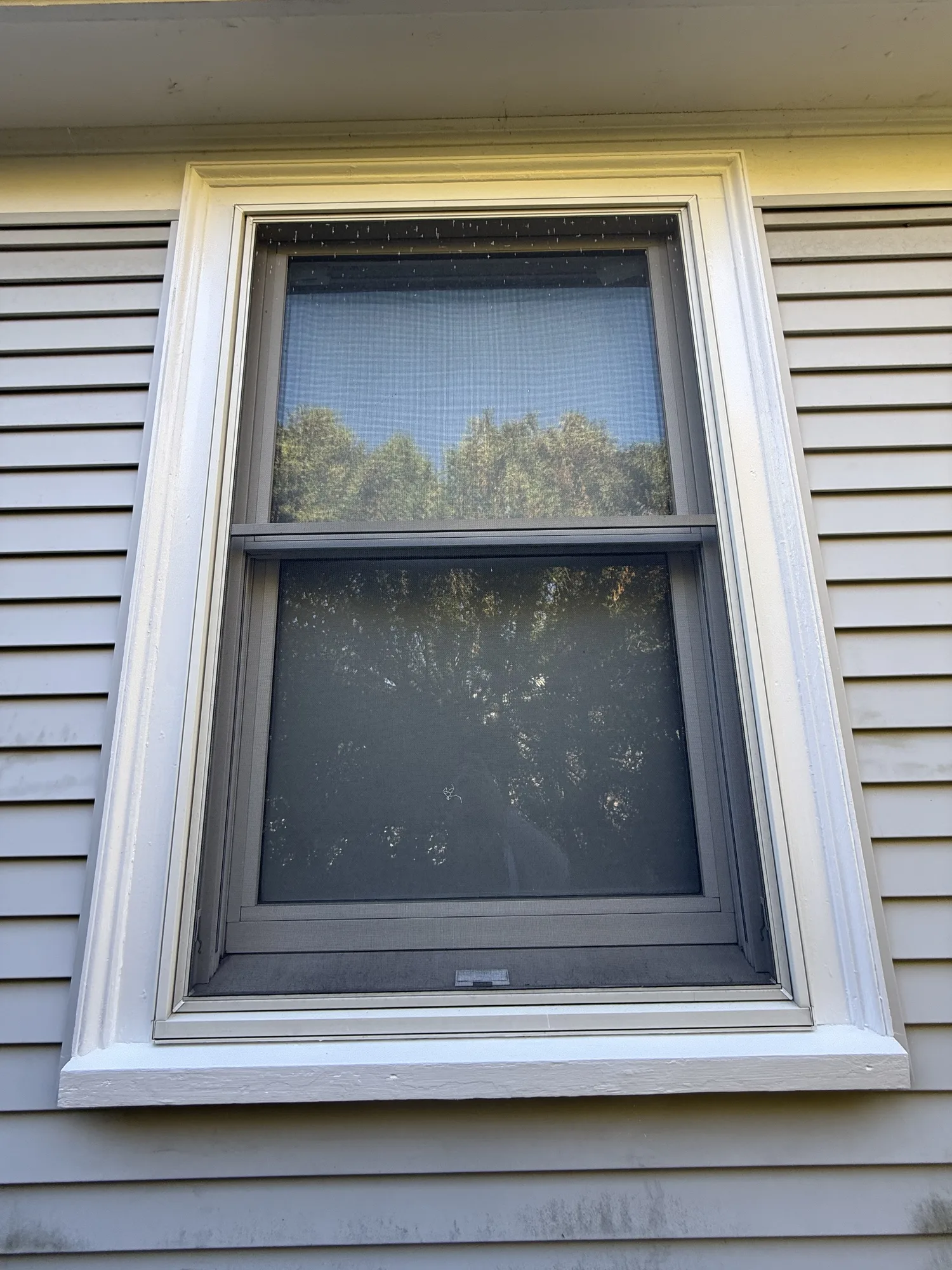 Detail of crisp white window trim from a real Proper Paint exterior project